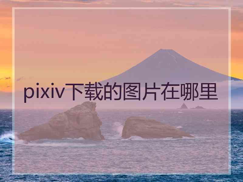 pixiv下载的图片在哪里