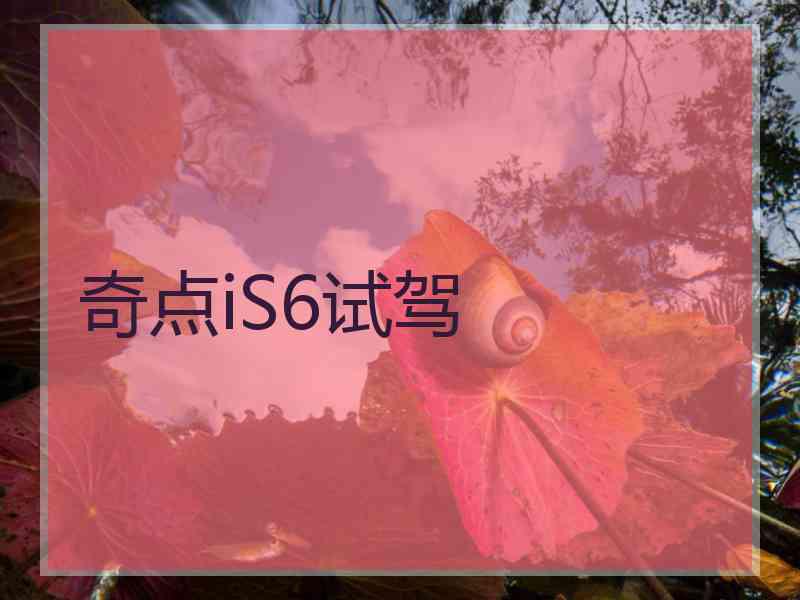 奇点iS6试驾