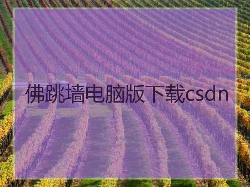 佛跳墙电脑版下载csdn