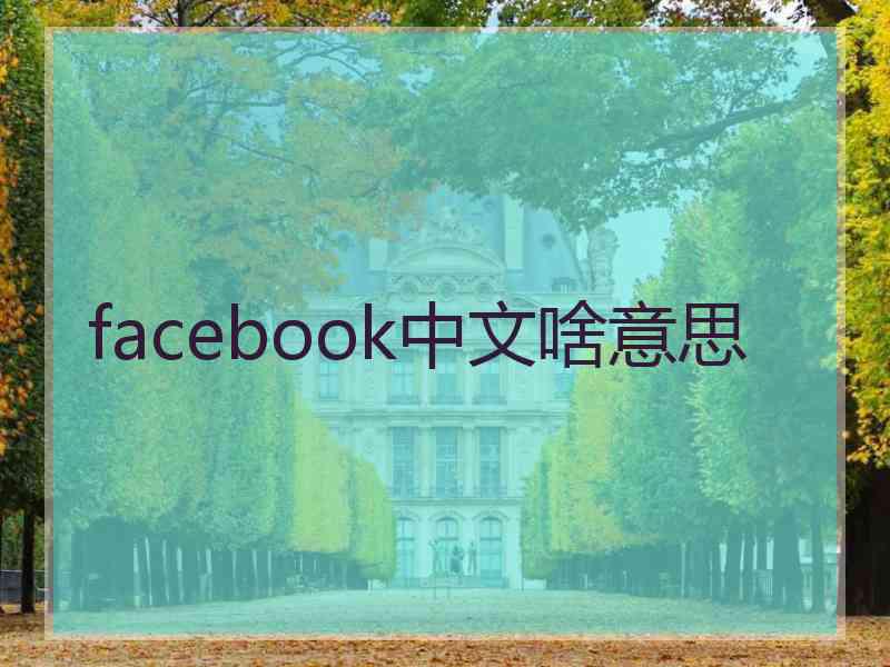 facebook中文啥意思