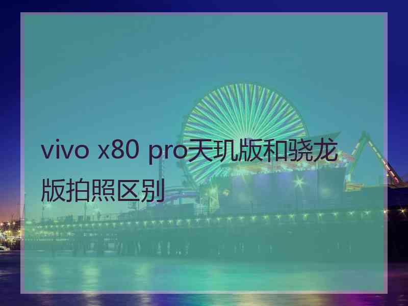 vivo x80 pro天玑版和骁龙版拍照区别