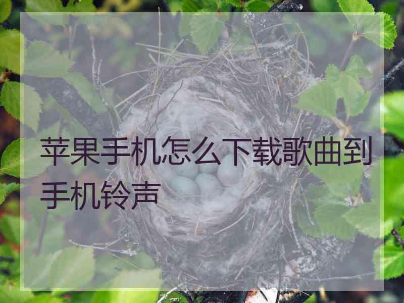 苹果手机怎么下载歌曲到手机铃声