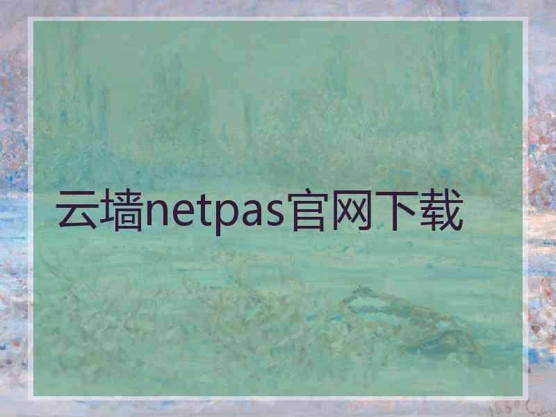 云墙netpas官网下载