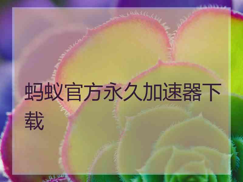 蚂蚁官方永久加速器下载