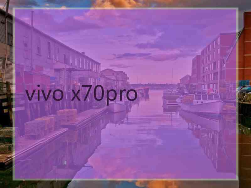 vivo x70pro