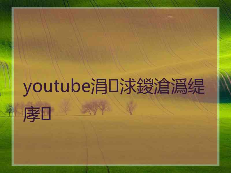 youtube涓浗鍐滄潙缇庨