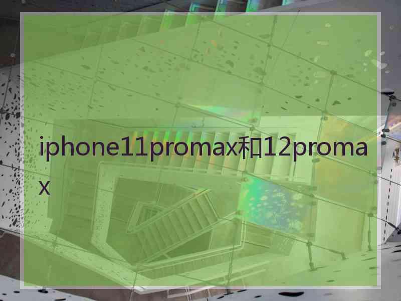 iphone11promax和12promax