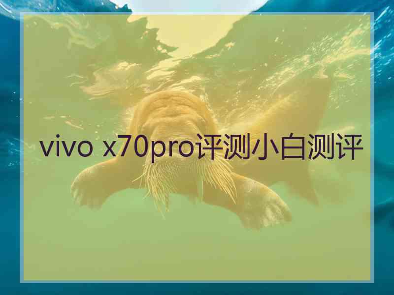 vivo x70pro评测小白测评