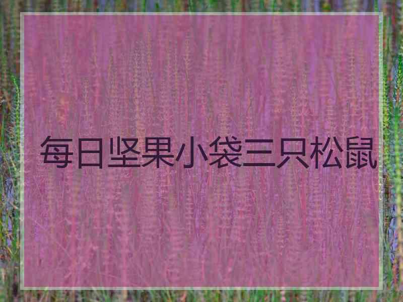 每日坚果小袋三只松鼠