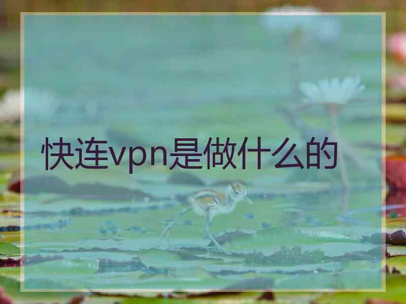 快连vpn是做什么的