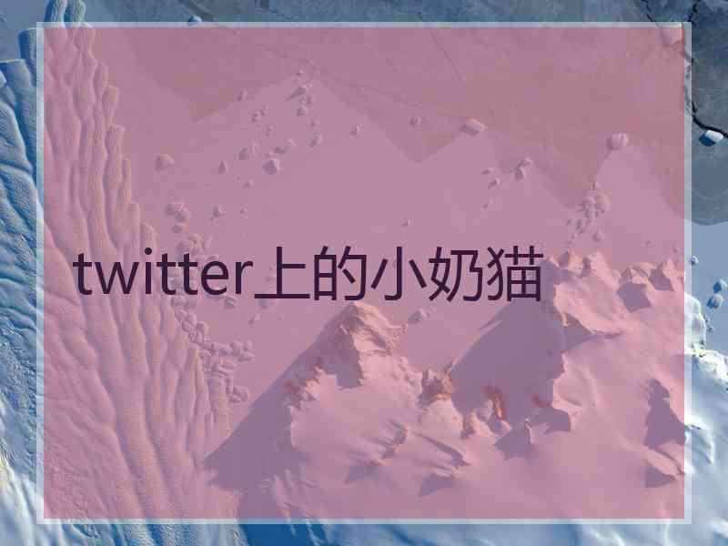 twitter上的小奶猫