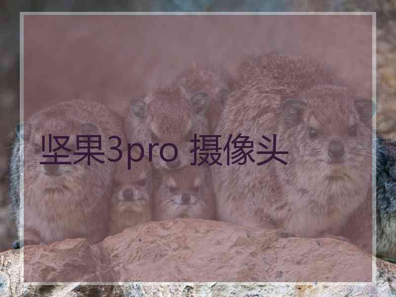 坚果3pro 摄像头