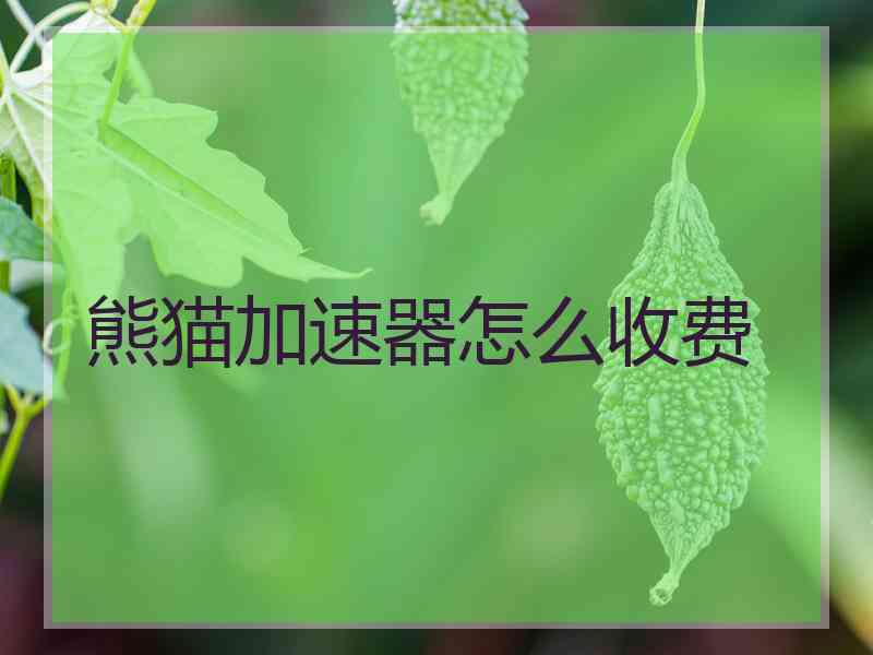 熊猫加速器怎么收费