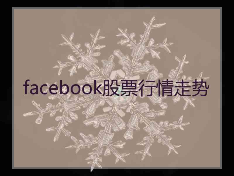 facebook股票行情走势