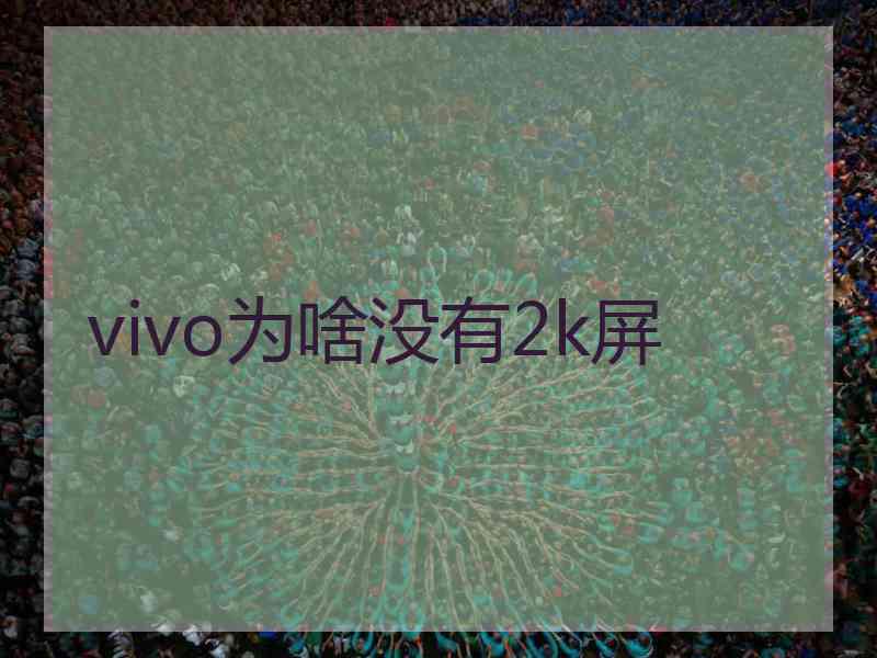 vivo为啥没有2k屏