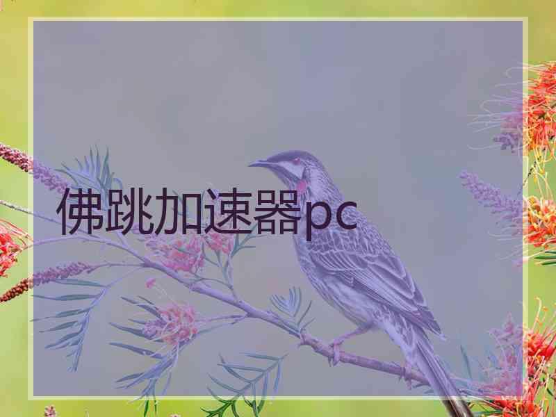 佛跳加速器pc