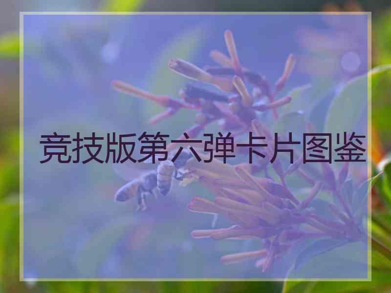 竞技版第六弹卡片图鉴