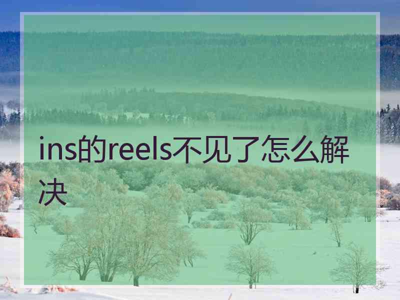 ins的reels不见了怎么解决