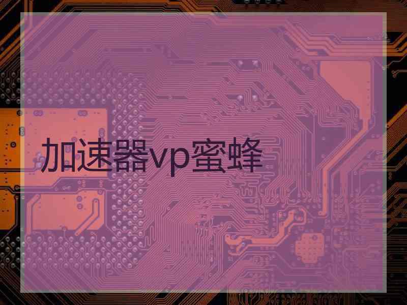 加速器vp蜜蜂