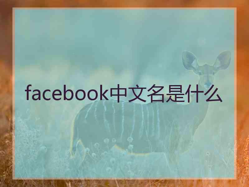 facebook中文名是什么