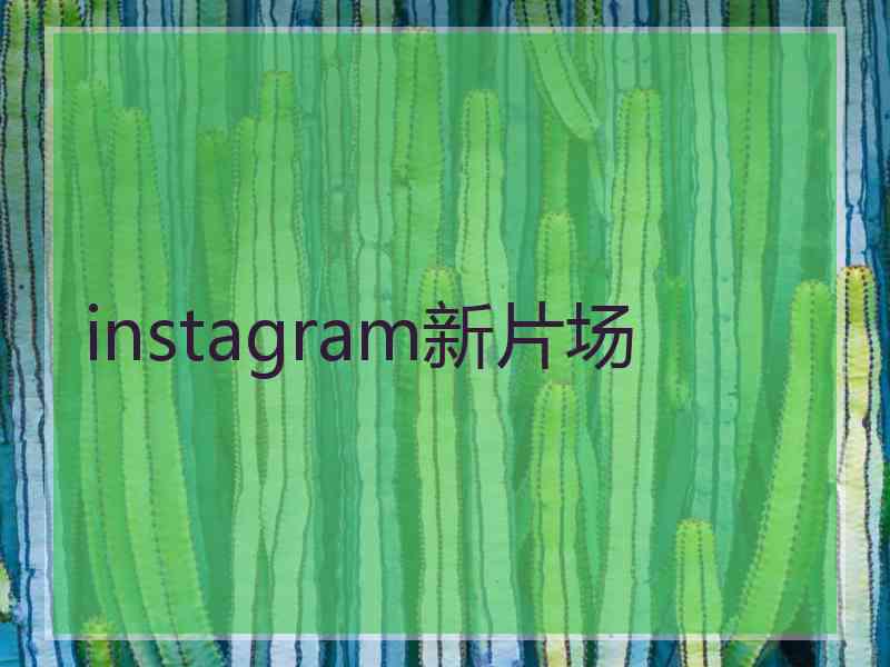 instagram新片场