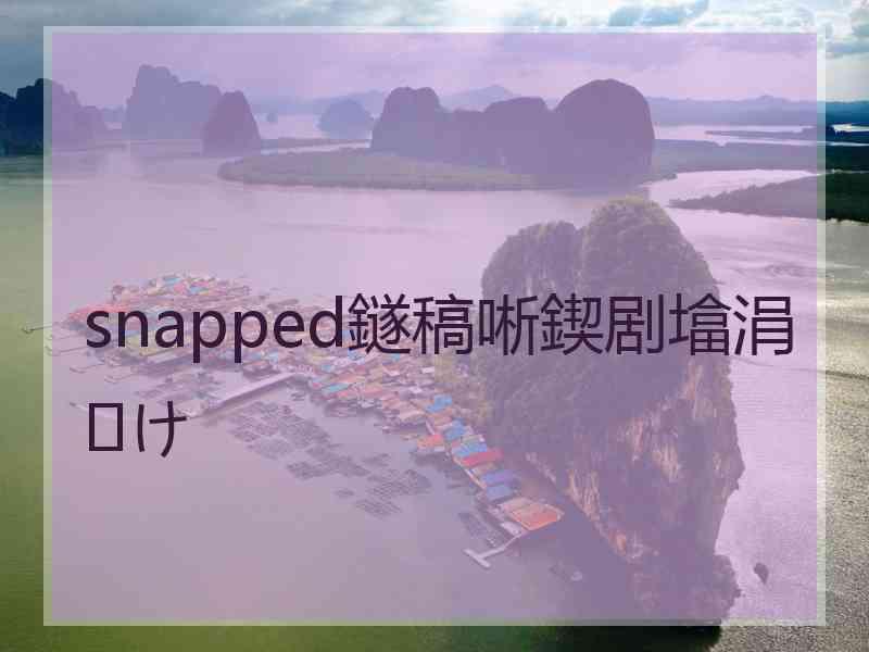 snapped鐩稿唽鍥剧墖涓㈠け