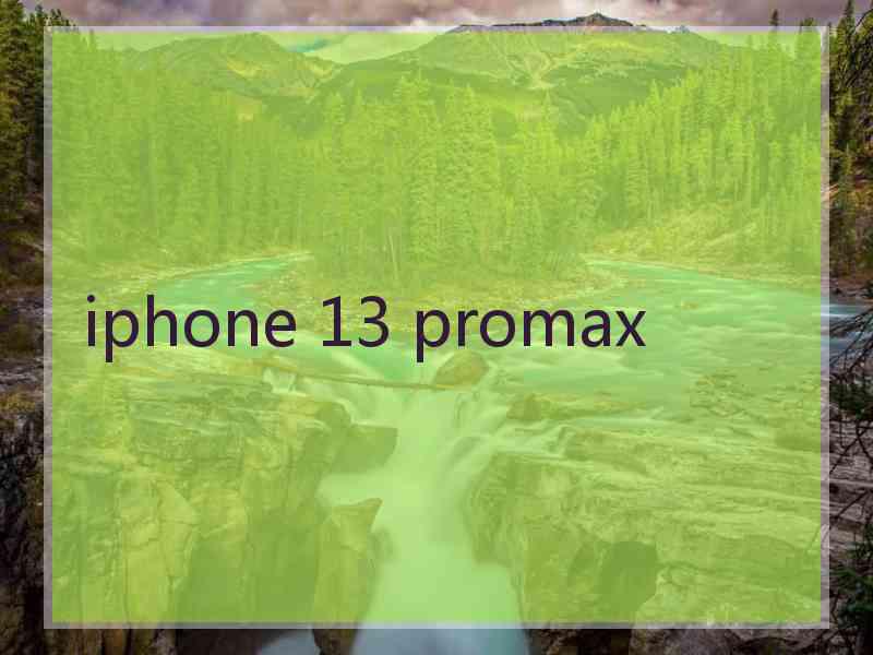 iphone 13 promax