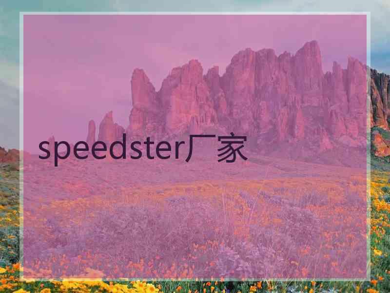 speedster厂家