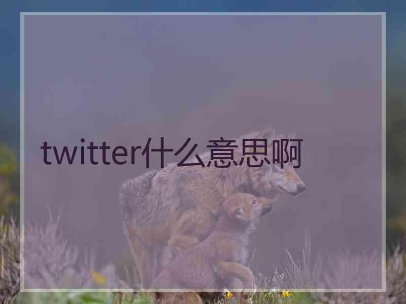 twitter什么意思啊