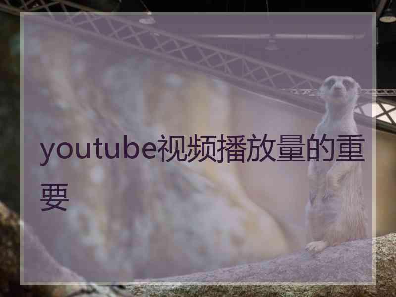 youtube视频播放量的重要