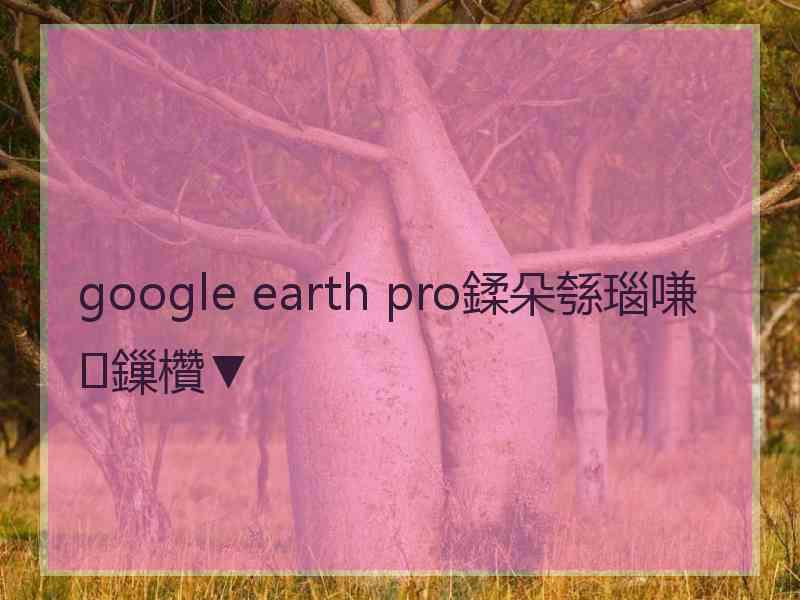 google earth pro鍒朵綔瑙嗛鏁欑▼