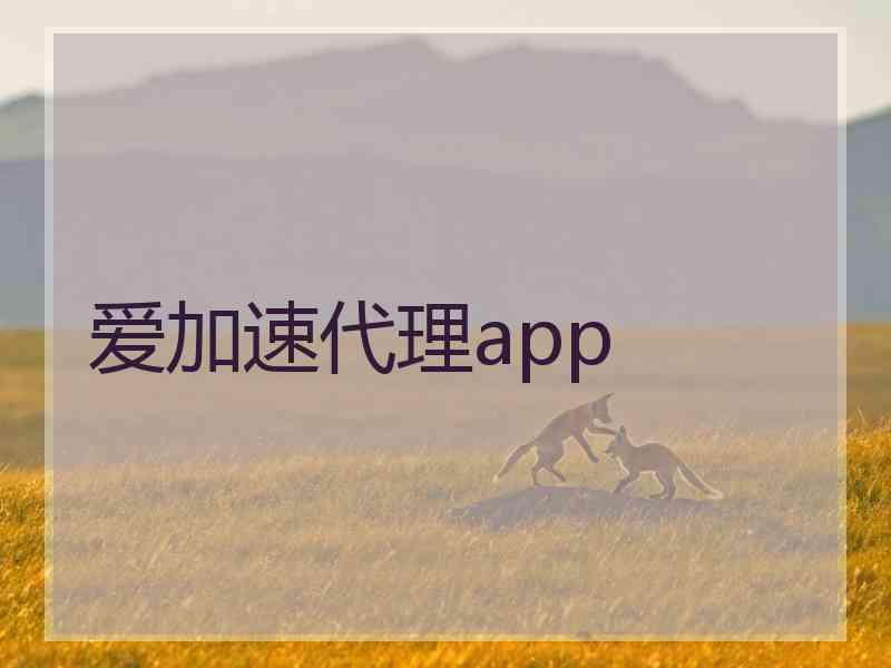 爱加速代理app