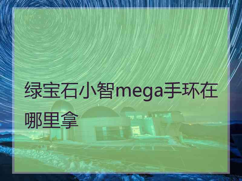 绿宝石小智mega手环在哪里拿