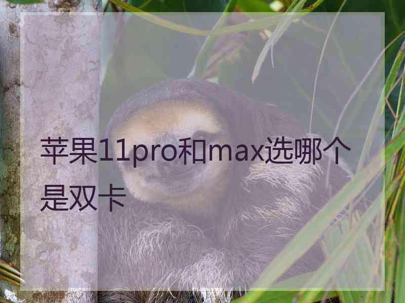 苹果11pro和max选哪个是双卡