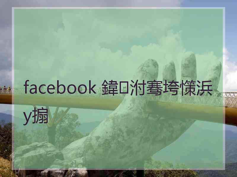 facebook 鍏泭骞垮憡浜у搧