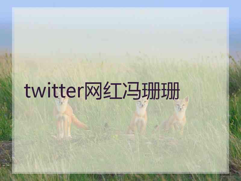 twitter网红冯珊珊