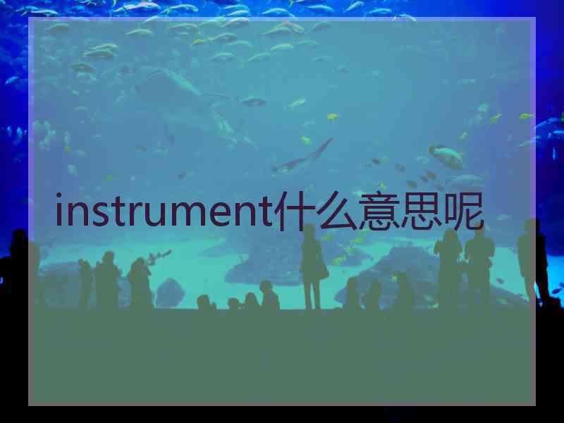 instrument什么意思呢