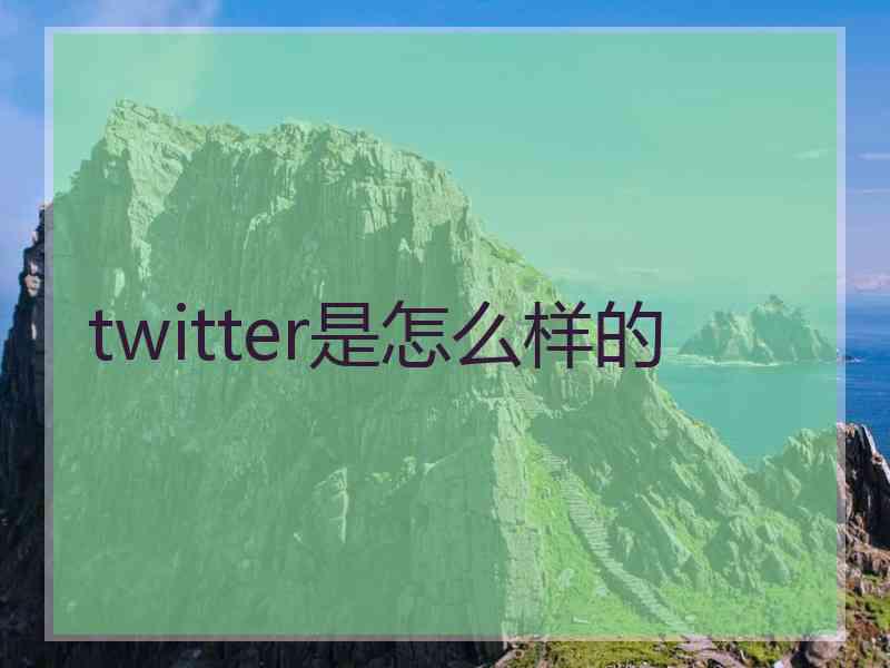 twitter是怎么样的