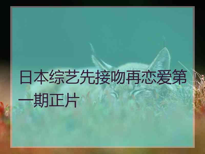 日本综艺先接吻再恋爱第一期正片