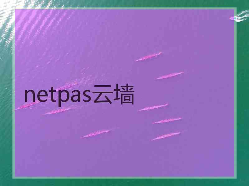 netpas云墙