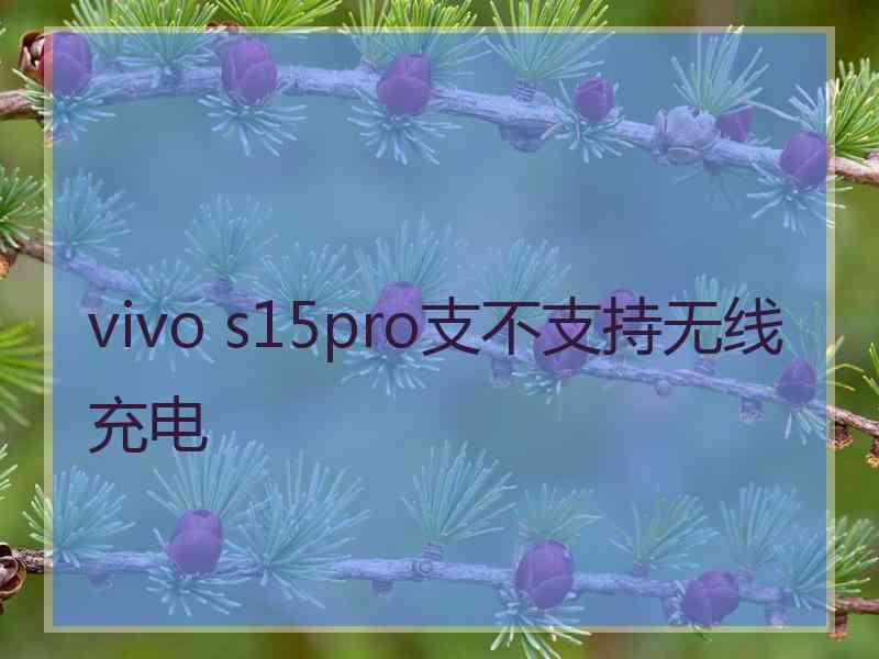 vivo s15pro支不支持无线充电