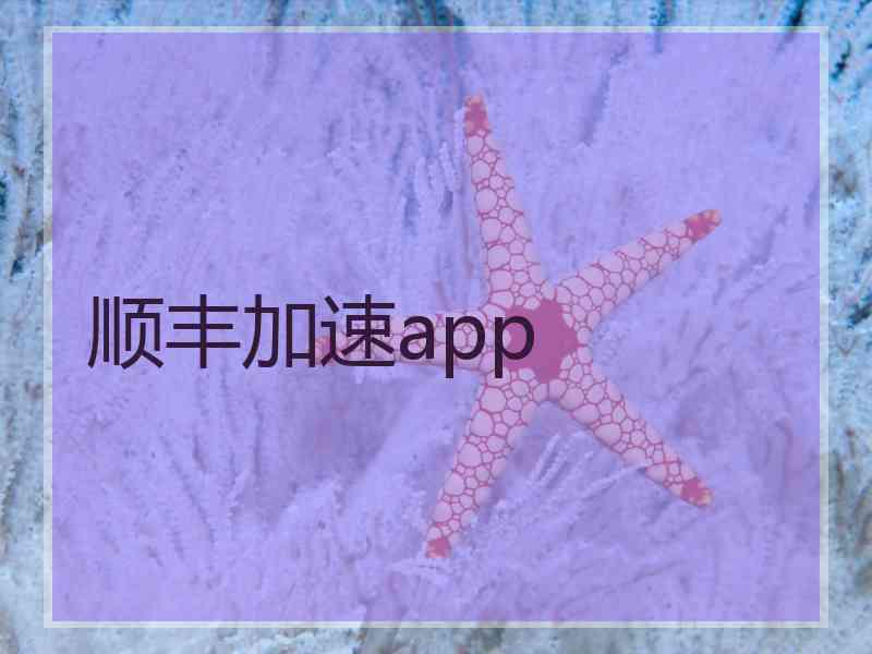 顺丰加速app