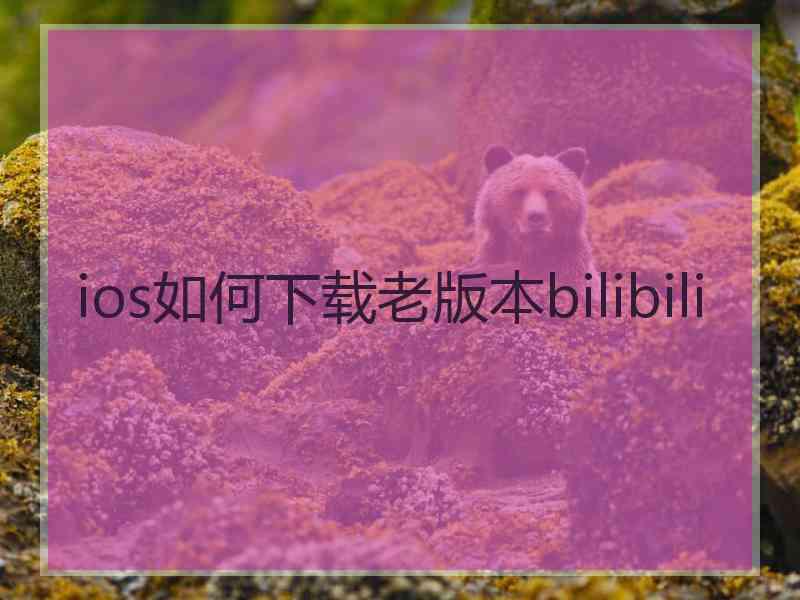 ios如何下载老版本bilibili