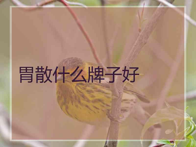 胃散什么牌子好