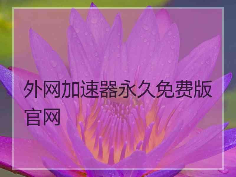 外网加速器永久免费版官网