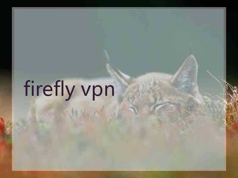 firefly vpn