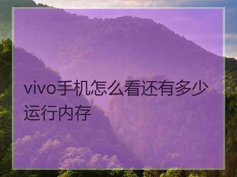 vivo手机怎么看还有多少运行内存