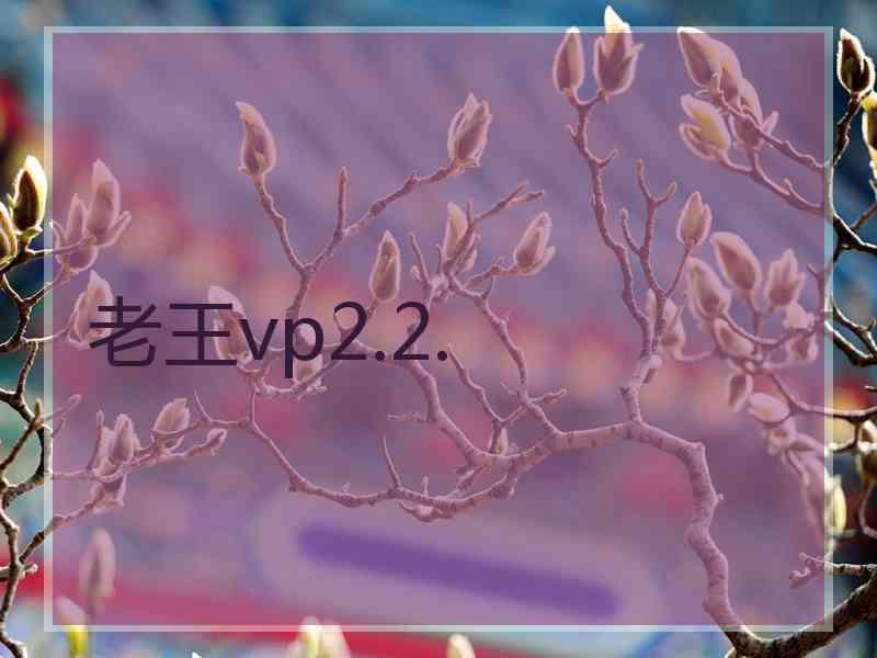 老王vp2.2.