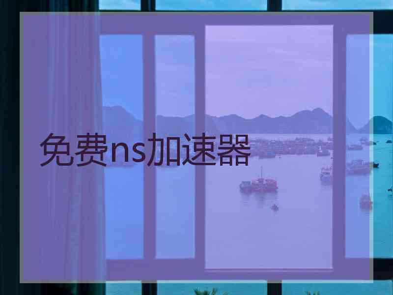 免费ns加速器