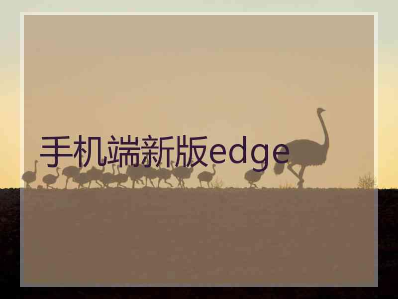 手机端新版edge